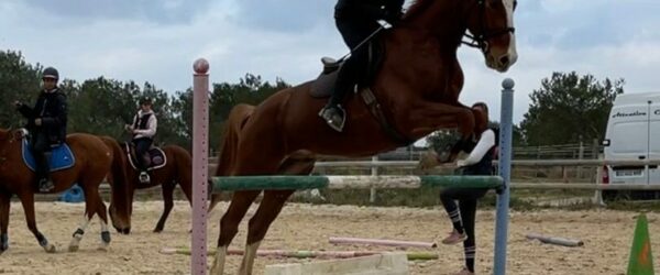 Zoom sur l’enseignement optionnel technologique facultatif : Hippologie Equitation