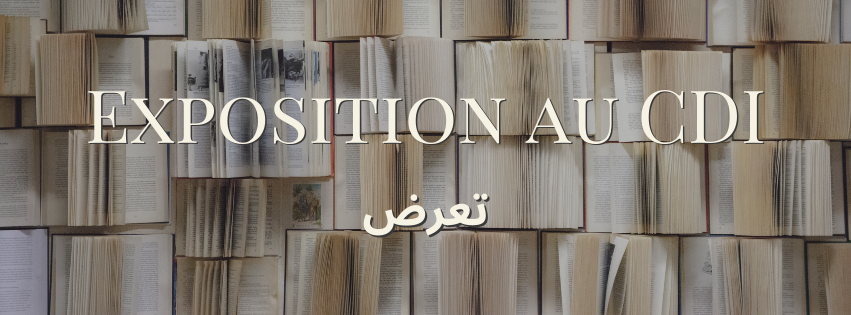 Lire la suite à propos de l’article Un exposition sur les mots d’origine arabe au CDI !