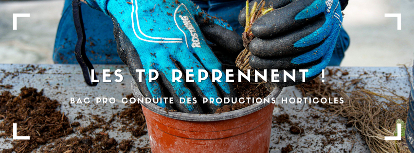 Lire la suite à propos de l’article Premier TP de l’année pour la classe de 1ère Bac pro Conduite Productions Horticoles