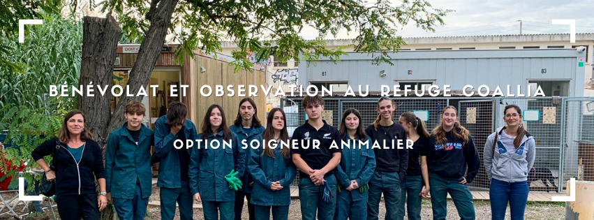 You are currently viewing Un après-midi au refuge solidaire de l’association Coallia avec les élèves option soigneur animalier